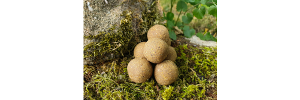 Fast Baiters - Soluble Boilies