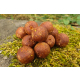 Red Krill Boilies Freshmade - Pro Nature Line