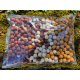 Mixed Boilies - Futterboilies 2,5 KG