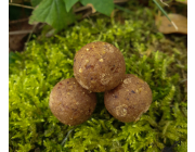 Tangi - Squid Boilies - Fresh Rolled Freezer