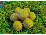 Sweet - HNV Boilies 2,5 KG